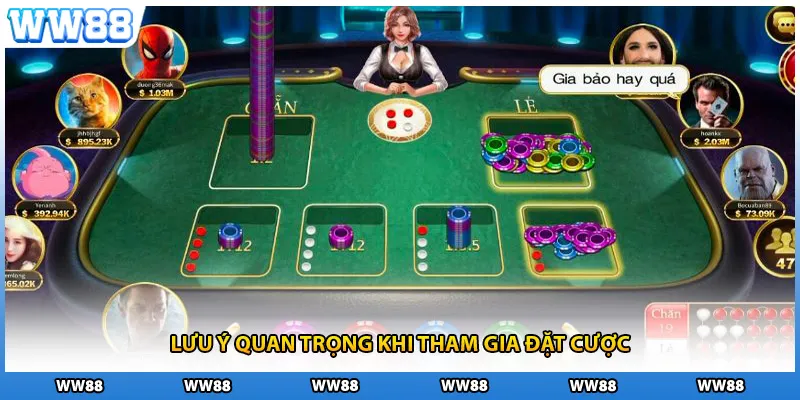 Lưu ý quan trọng khi tham gia đặt cược