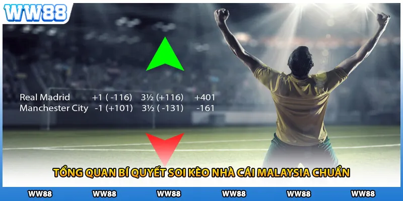 Tổng quan bí quyết soi kèo nhà cái Malaysia chuẩn