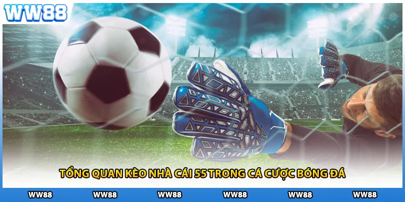 Tổng quan kèo nhà cái 55 trong cá cược bóng đá